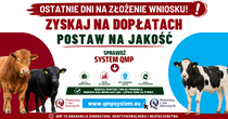 system qmp