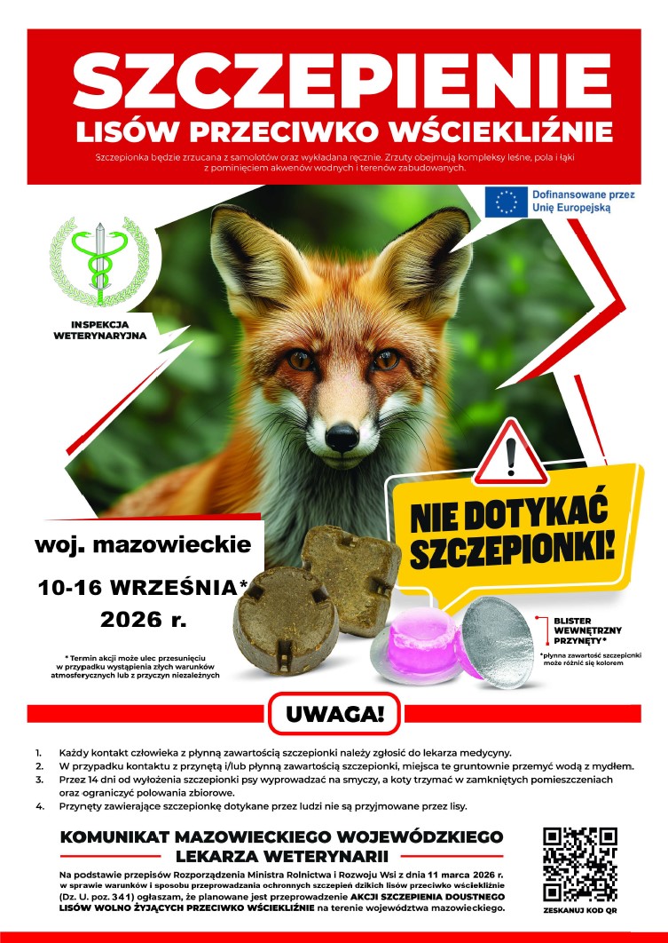 szczepienie lisy