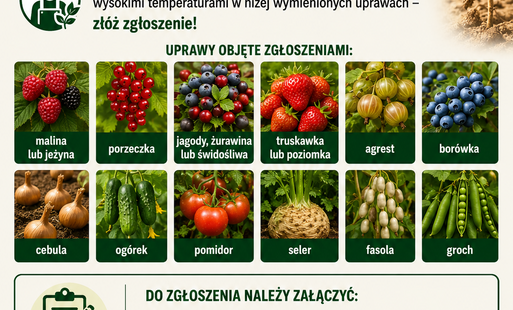 Zdjęcie do Zgłoszenie szk&oacute;d w wyniku wysokich temperatur