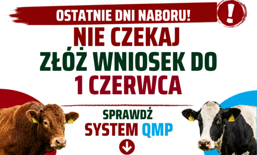 system qmp
