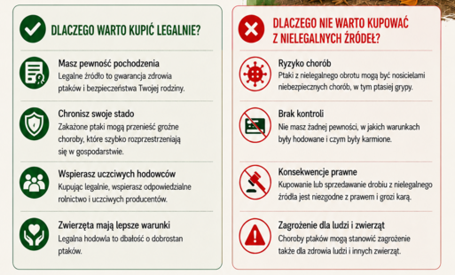 Zdjęcie do Prośba do mieszkańc&oacute;w o zachowanie ostrożności w związku z nielegalnym handlem drobiem
